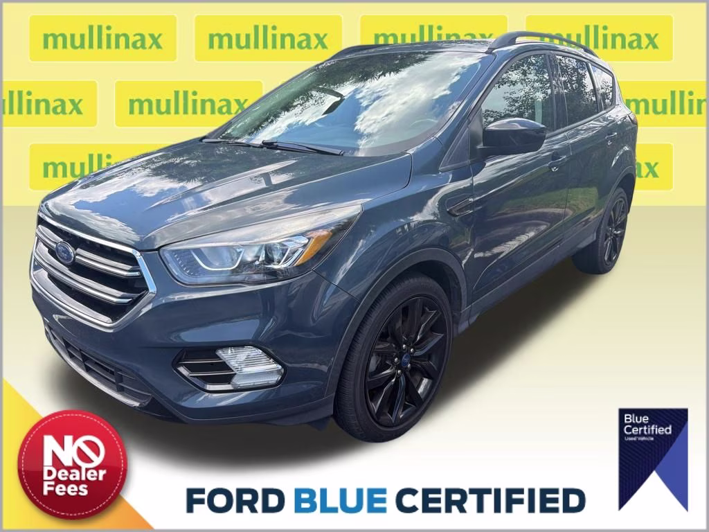 2019 Sea Green Ford Escape SE FWD SUV