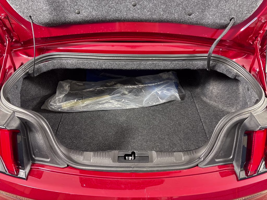 2020 Red Metallic Ford Mustang EcoBoost Premium RWD Convertible