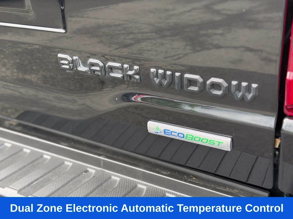 2023 Black Metallic Ford F-150 BLACK WIDOW 4X4 Truck