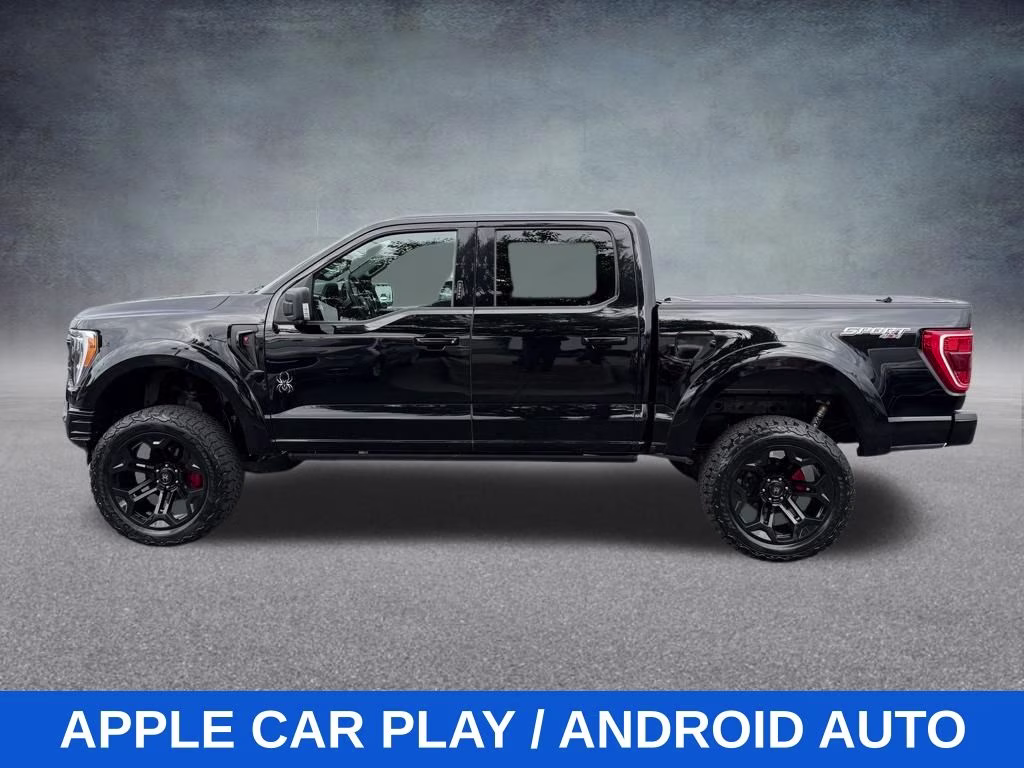 2023 Black Metallic Ford F-150 BLACK WIDOW 4X4 Truck