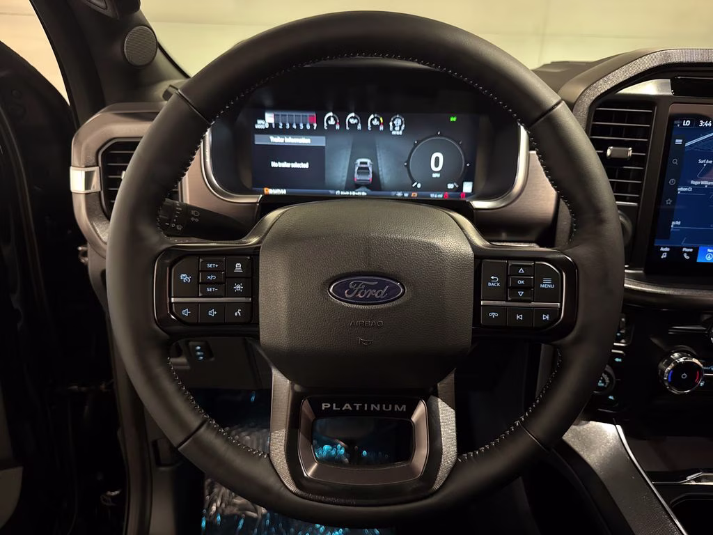 2026 Agate Black Metallic Ford F-150 Platinum 4X4 Truck