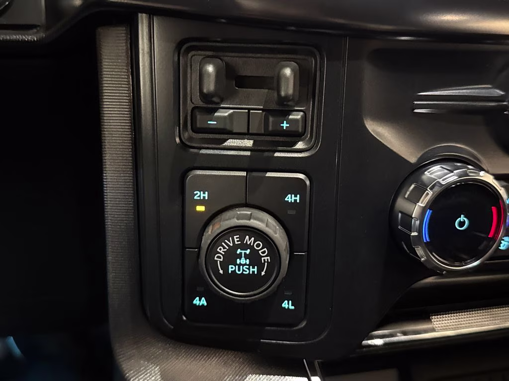 2026 Agate Black Metallic Ford F-150 Platinum 4X4 Truck