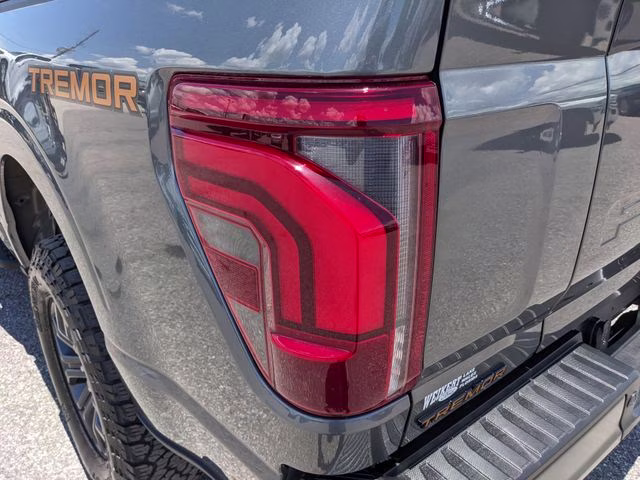 2025 Gray Metallic Ford F-150 Tremor 4X4 Truck