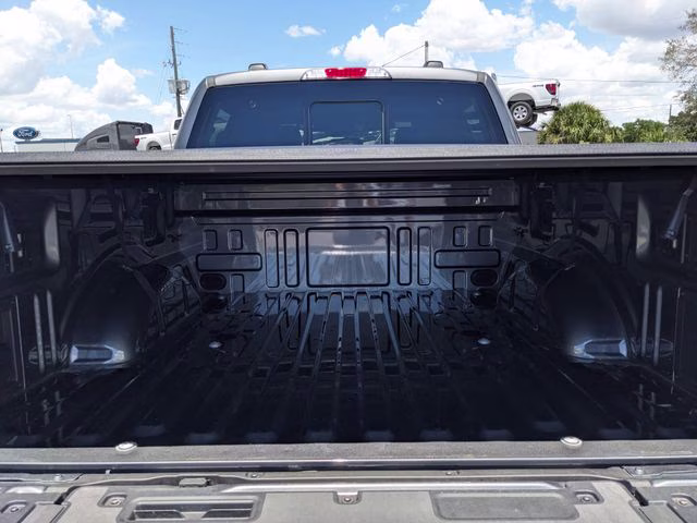 2025 Gray Metallic Ford F-150 Tremor 4X4 Truck