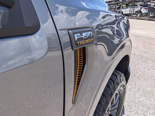 2025 Gray Metallic Ford F-150 Tremor 4X4 Truck