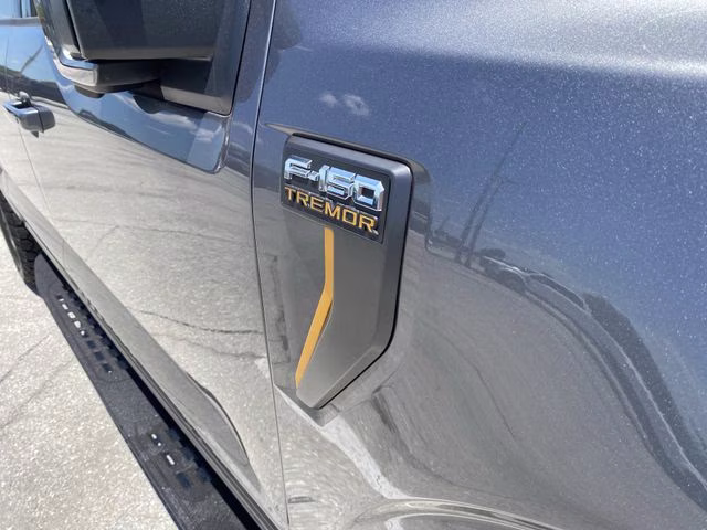 2025 Gray Metallic Ford F-150 Tremor 4X4 Truck