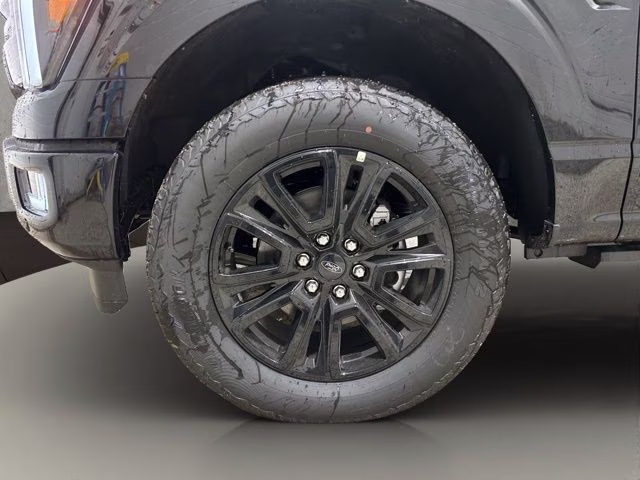 2026 Black Metallic Ford F-150 Platinum 4X4 Truck