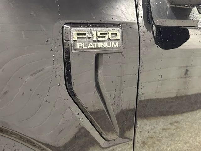 2026 Black Metallic Ford F-150 Platinum 4X4 Truck