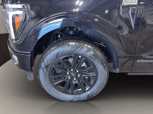 2026 Agate Black Metallic Ford F-150 Platinum 4X4 Truck