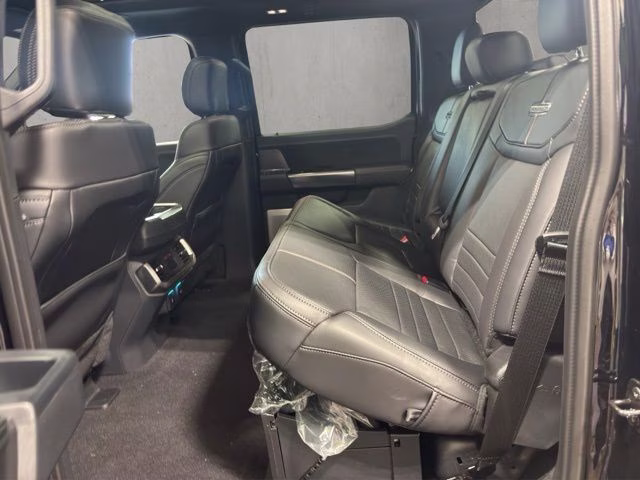 2026 Agate Black Metallic Ford F-150 Platinum 4X4 Truck
