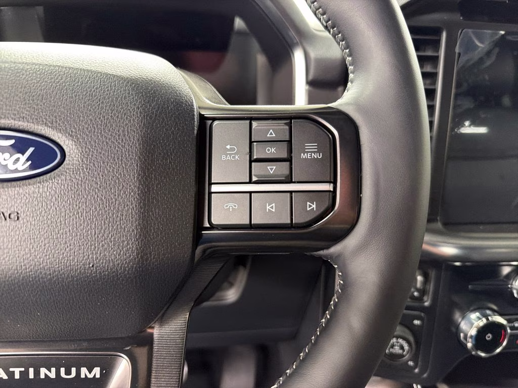 2026 AGATE BLACK Ford F-150 Platinum 4X4 Truck