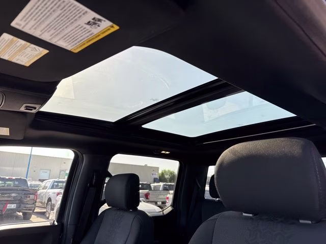 2020 Magnetic Ford F-150 XLT 4X4 Truck