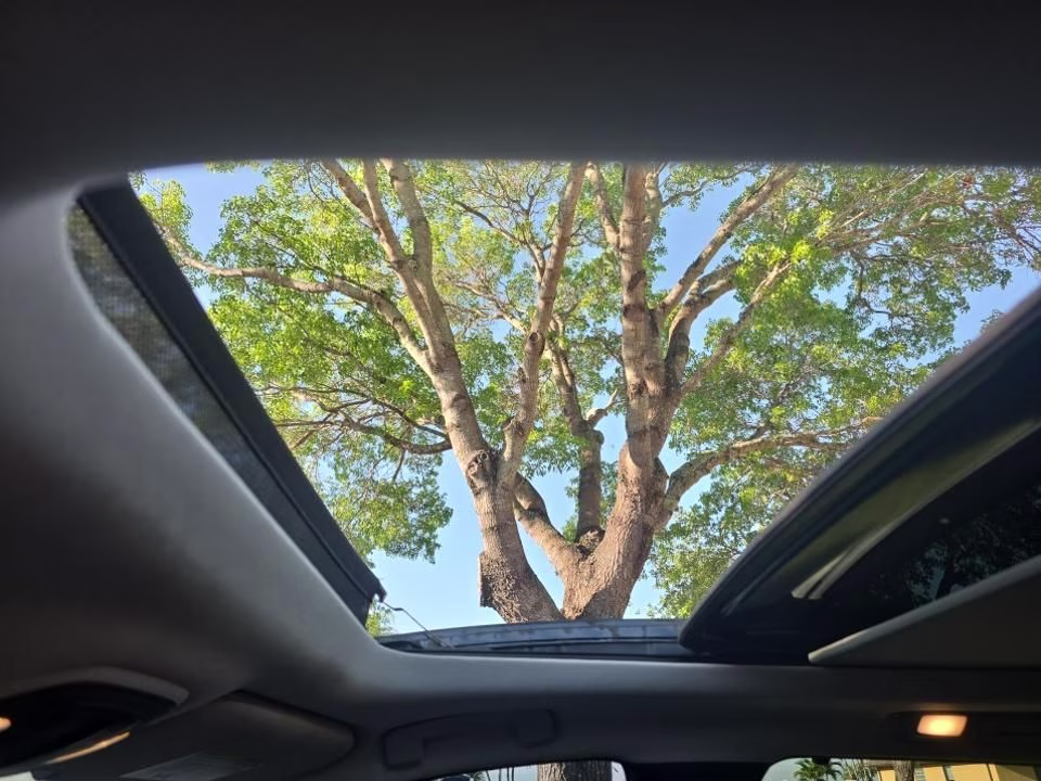 2023 Mineral Black INFINITI QX60 LUXE FWD SUV