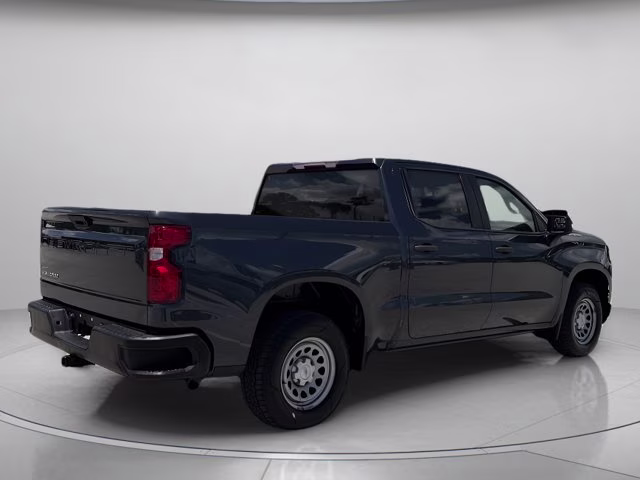 2019 Shadow Gray Metallic Chevrolet Silverado 1500 WT RWD Truck