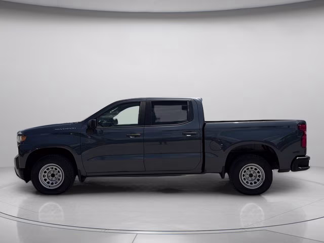 2019 Shadow Gray Metallic Chevrolet Silverado 1500 WT RWD Truck