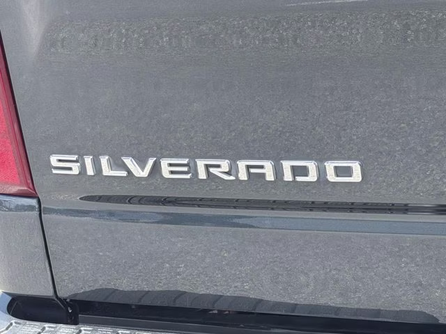 2019 Shadow Gray Metallic Chevrolet Silverado 1500 WT RWD Truck