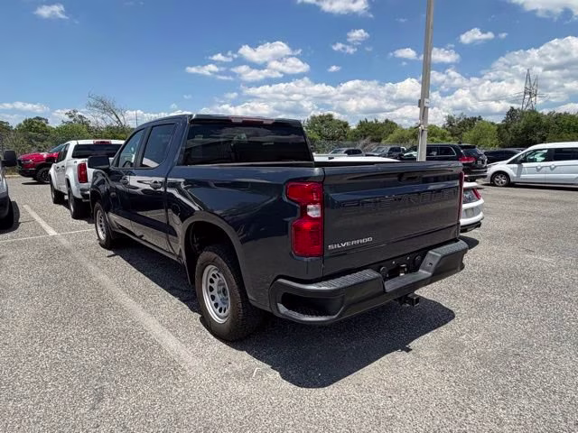 2019 Shadow Gray Metallic Chevrolet Silverado 1500 WT RWD Truck