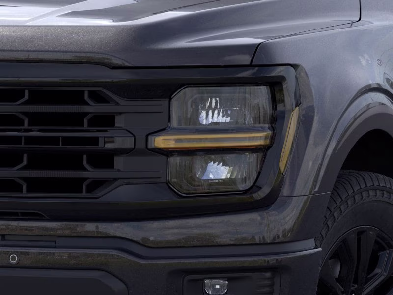 2026 Agate Black Ford F-150 XLT 4X4 Truck
