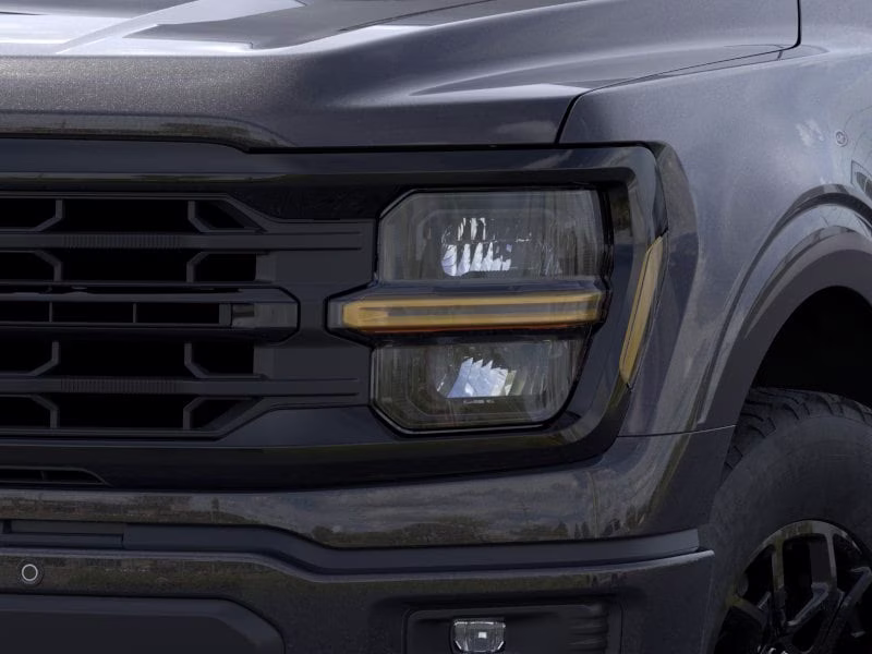 2026 Agate Black Ford F-150 XLT 4X4 Truck