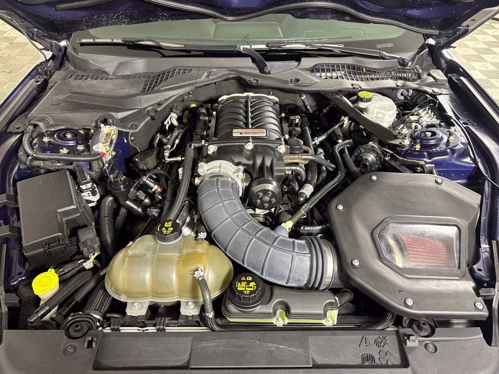 2019 Kona Blue Metallic Ford Mustang GT RWD Coupe