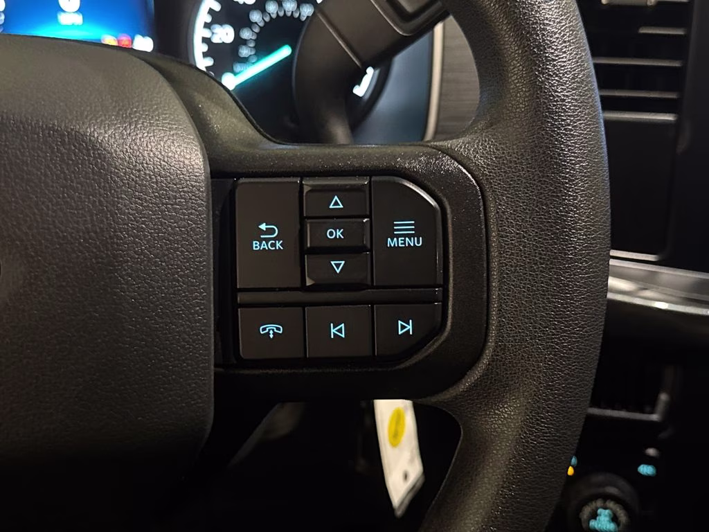 2022 Black Metallic Ford F-150 XL 4X4 Truck