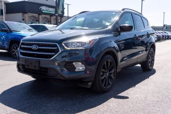 2019 Sea Green Ford Escape SE 4X4 SUV