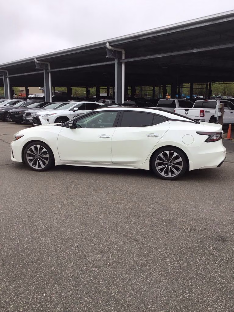 2023 White Nissan Maxima Platinum FWD Sedan