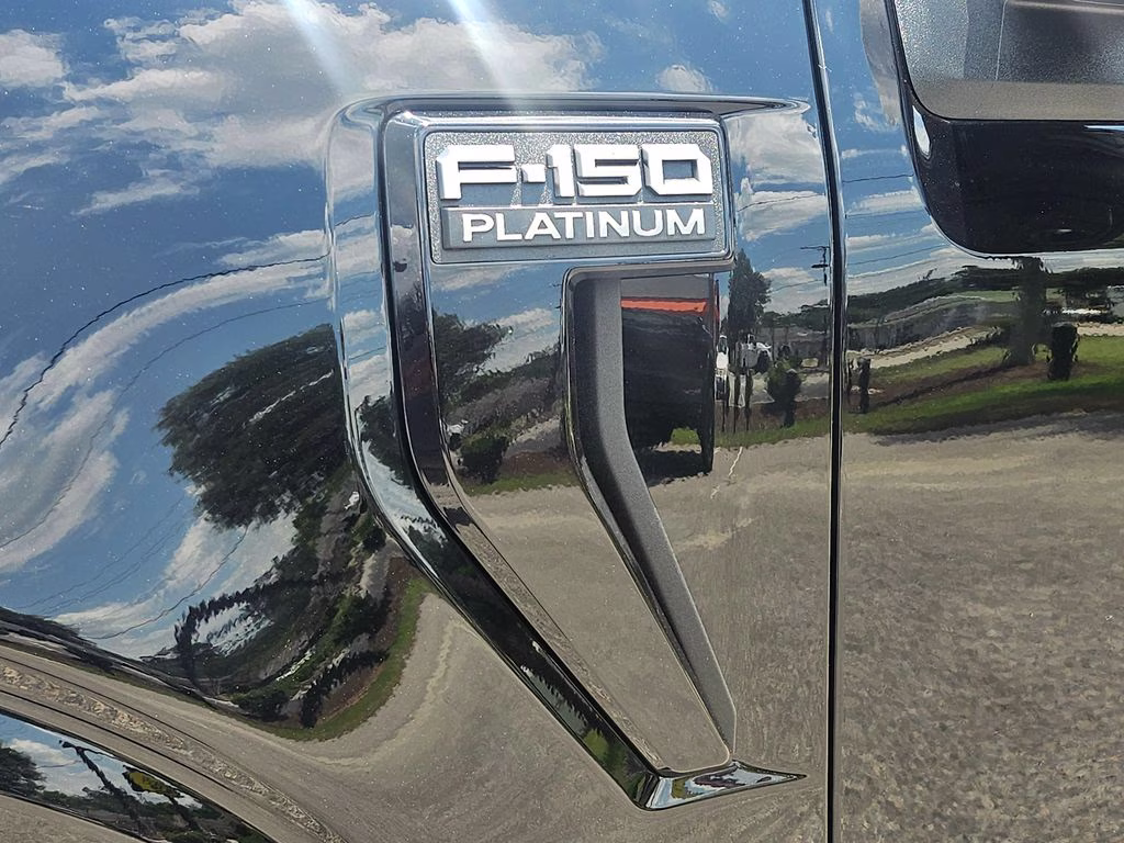 2026 Agate Black Metallic Ford F-150 Platinum 4X4 Truck