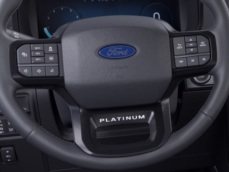 2026 Agate Black Metallic Ford F-150 Platinum 4X4 Truck