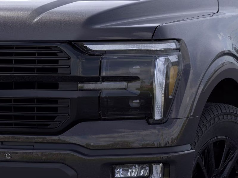 2026 Agate Black Metallic Ford F-150 Platinum 4X4 Truck
