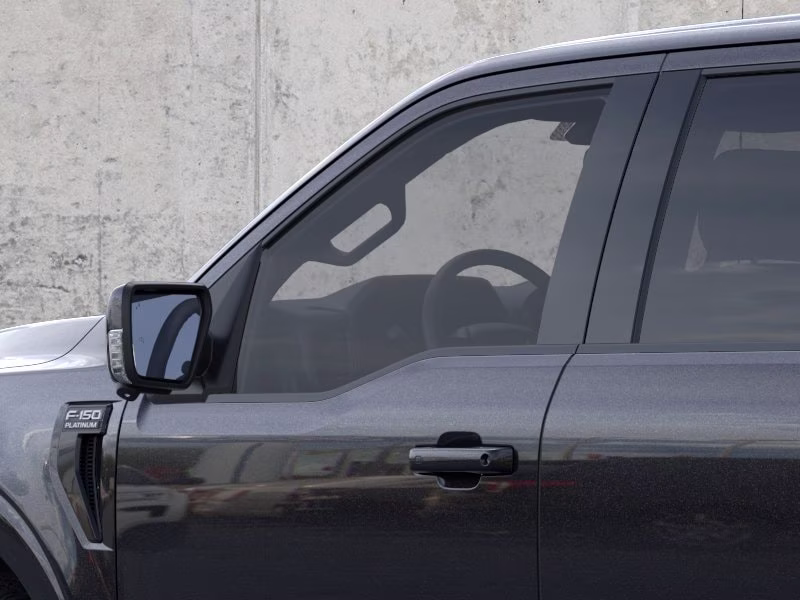 2026 Agate Black Metallic Ford F-150 Platinum 4X4 Truck