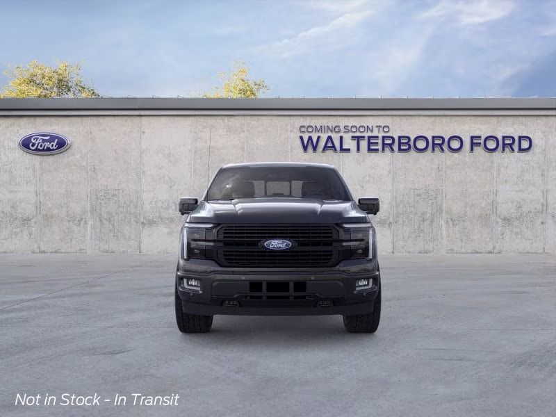 2026 Agate Black Metallic Ford F-150 Platinum 4X4 Truck