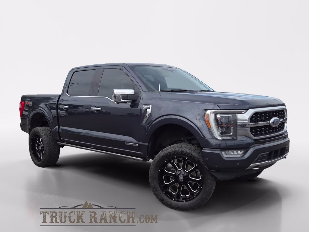 2021 Gray Ford F-150 Platinum 4X4 Truck