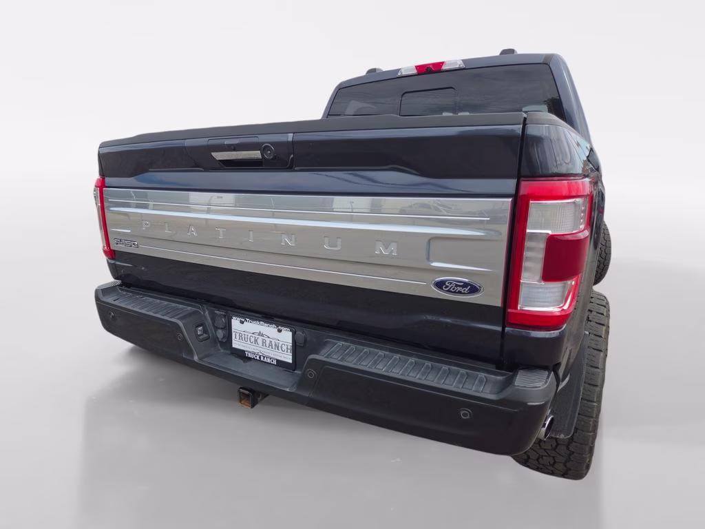 2021 Gray Ford F-150 Platinum 4X4 Truck