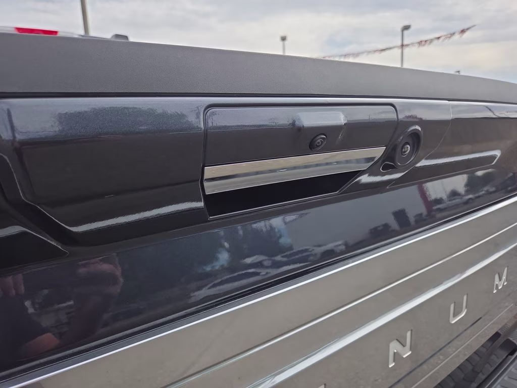 2021 Gray Ford F-150 Platinum 4X4 Truck