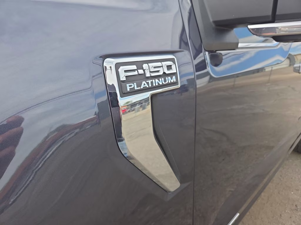 2021 Gray Ford F-150 Platinum 4X4 Truck