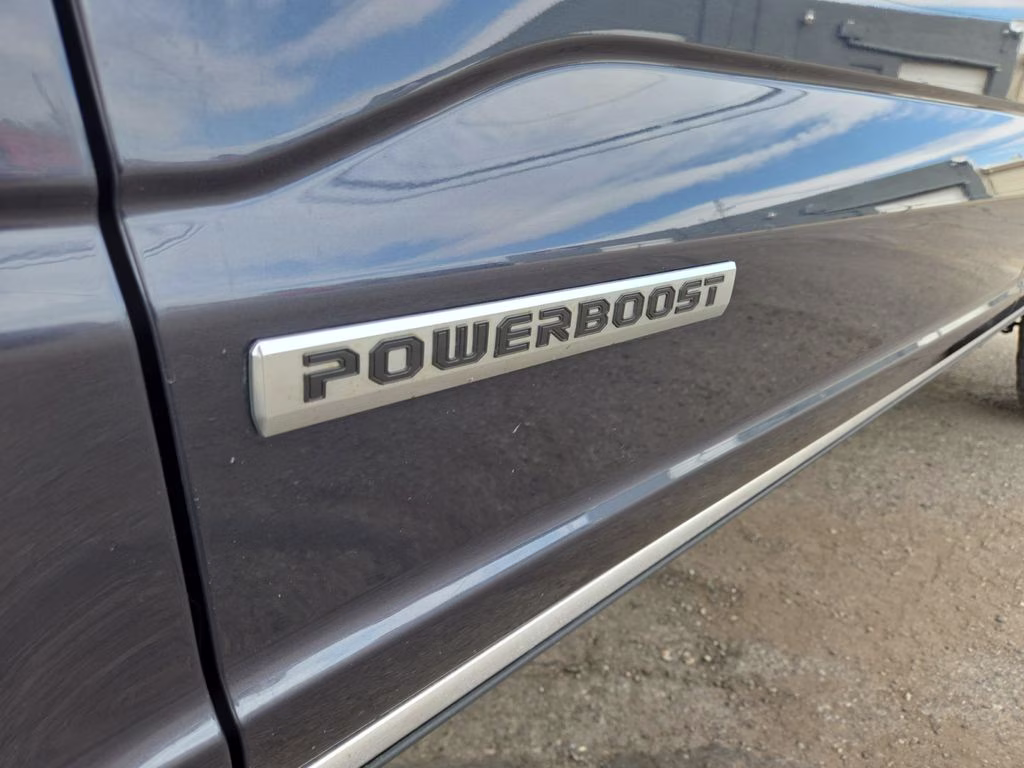 2021 Gray Ford F-150 Platinum 4X4 Truck