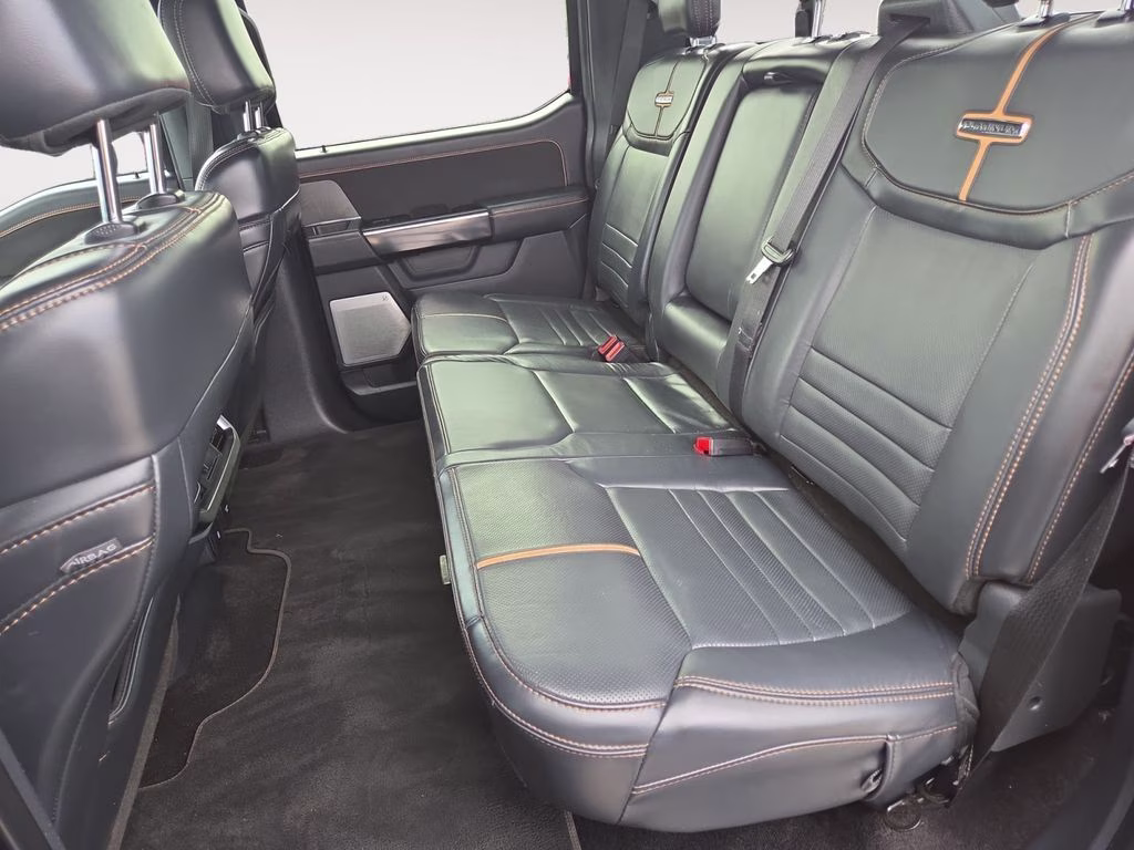 2021 Gray Ford F-150 Platinum 4X4 Truck