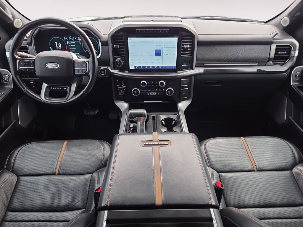 2021 Gray Ford F-150 Platinum 4X4 Truck