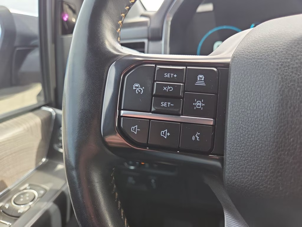 2021 Gray Ford F-150 Platinum 4X4 Truck
