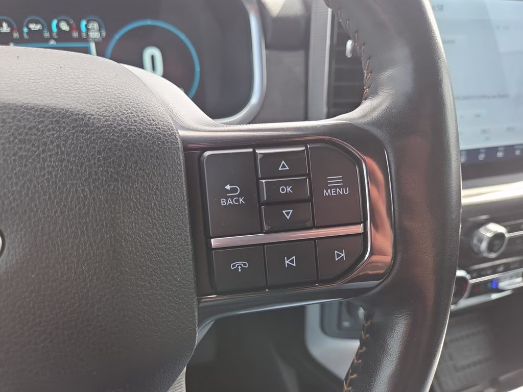 2021 Gray Ford F-150 Platinum 4X4 Truck