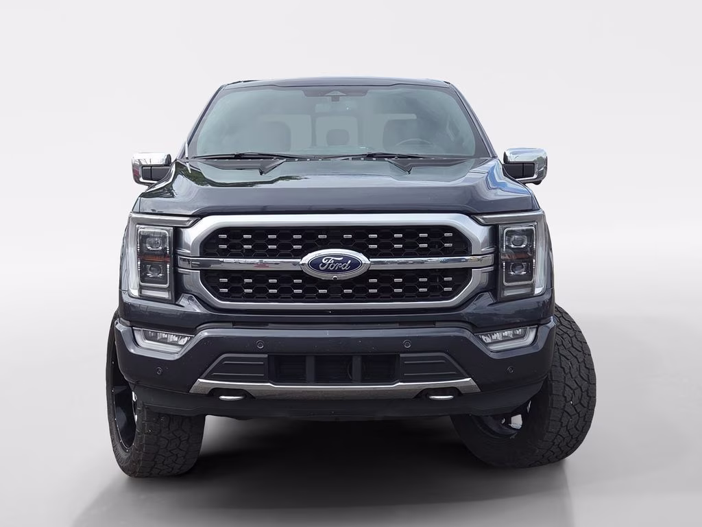 2021 Gray Ford F-150 Platinum 4X4 Truck