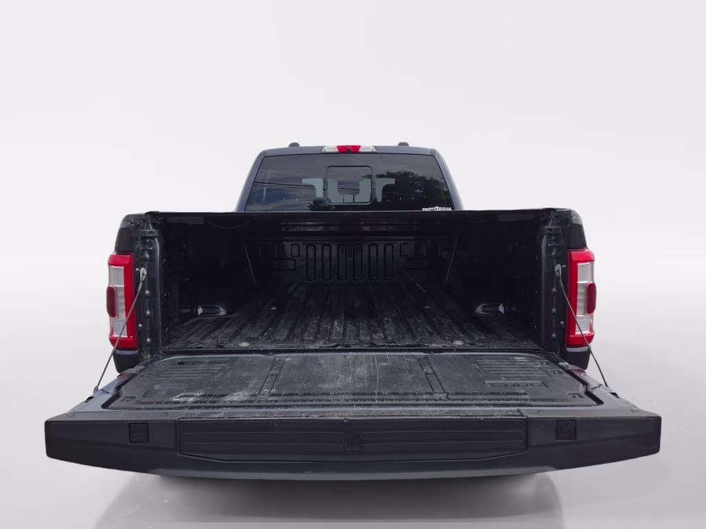 2021 Gray Ford F-150 Platinum 4X4 Truck
