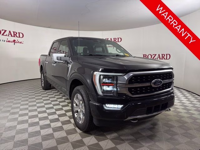2022 Black Metallic Ford F-150 Platinum 4X4 Truck