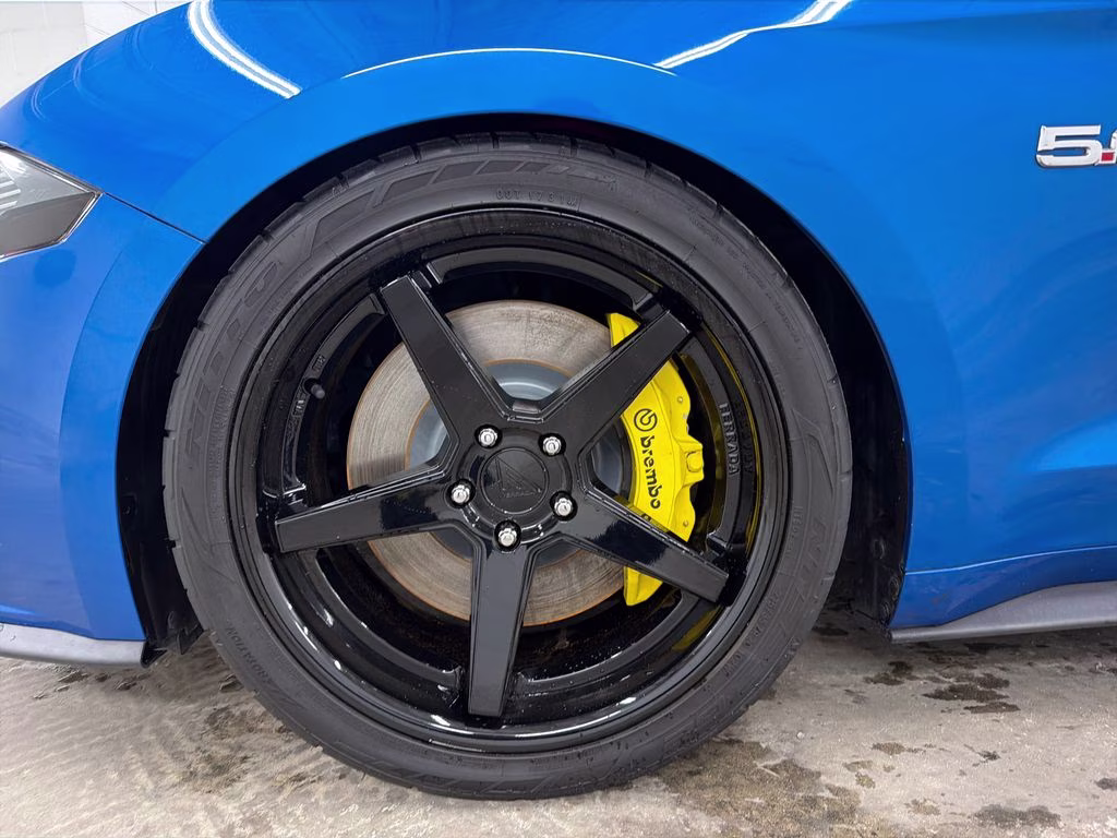 2019 Velocity Blue Metallic Ford Mustang GT Premium RWD Coupe