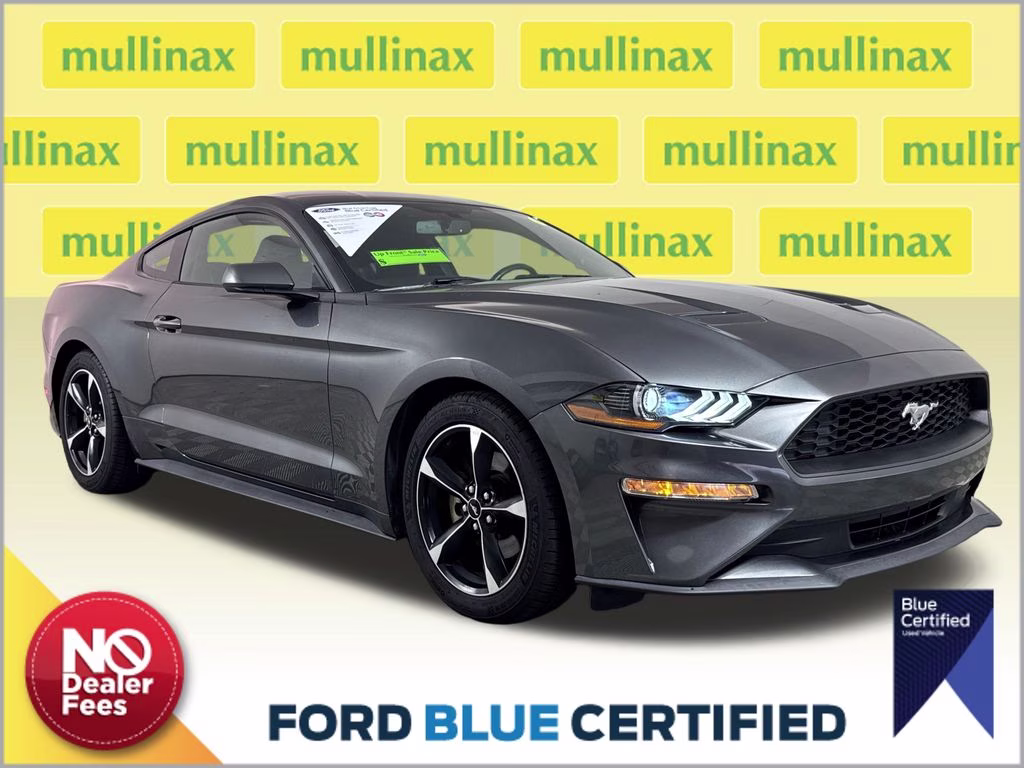 2019 Magnetic Metallic Ford Mustang EcoBoost RWD Coupe