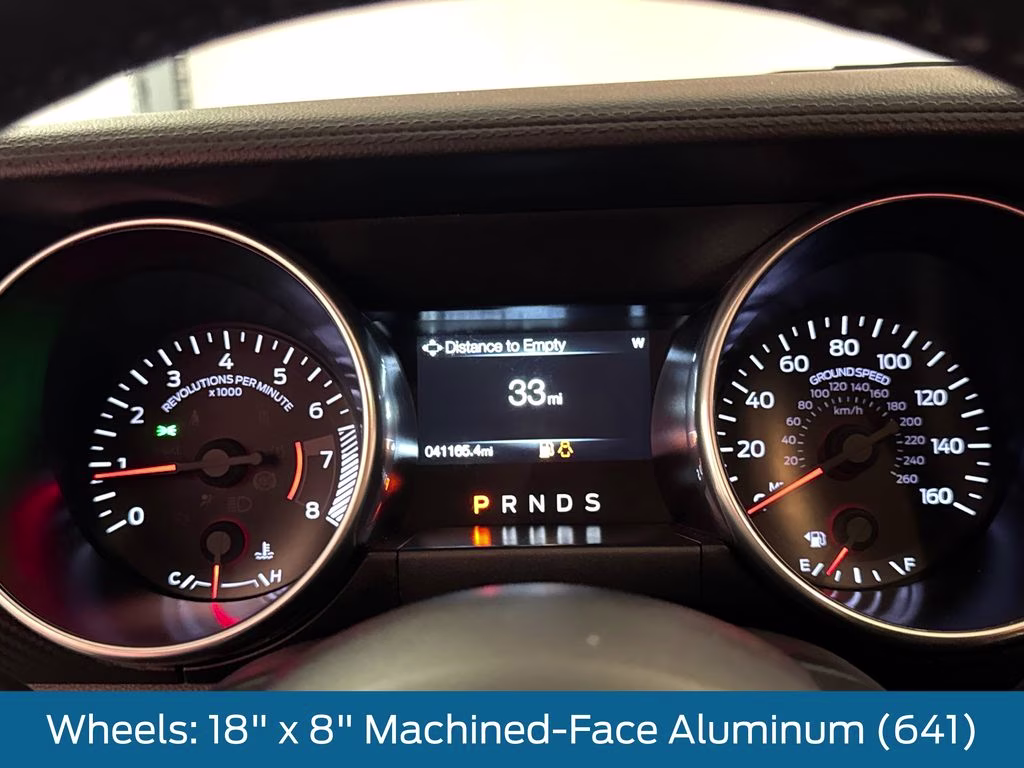 2019 Magnetic Metallic Ford Mustang EcoBoost RWD Coupe