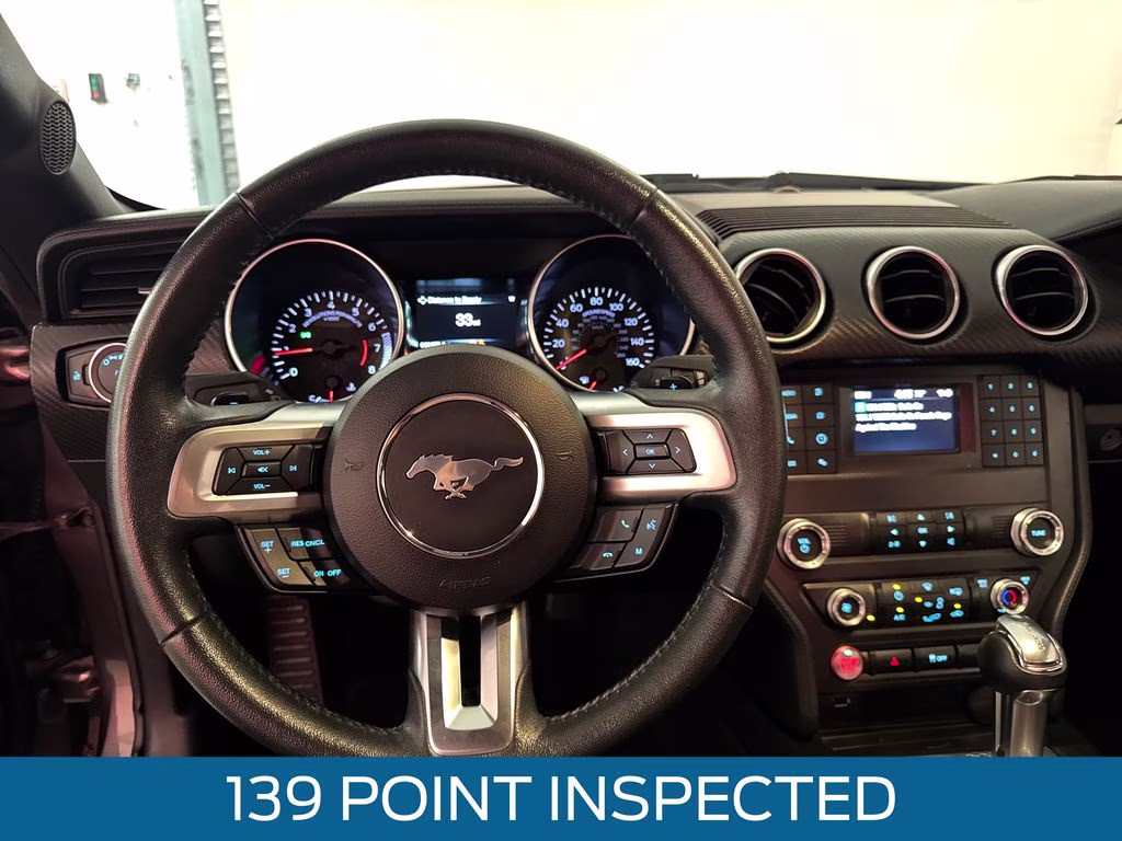 2019 Magnetic Metallic Ford Mustang EcoBoost RWD Coupe