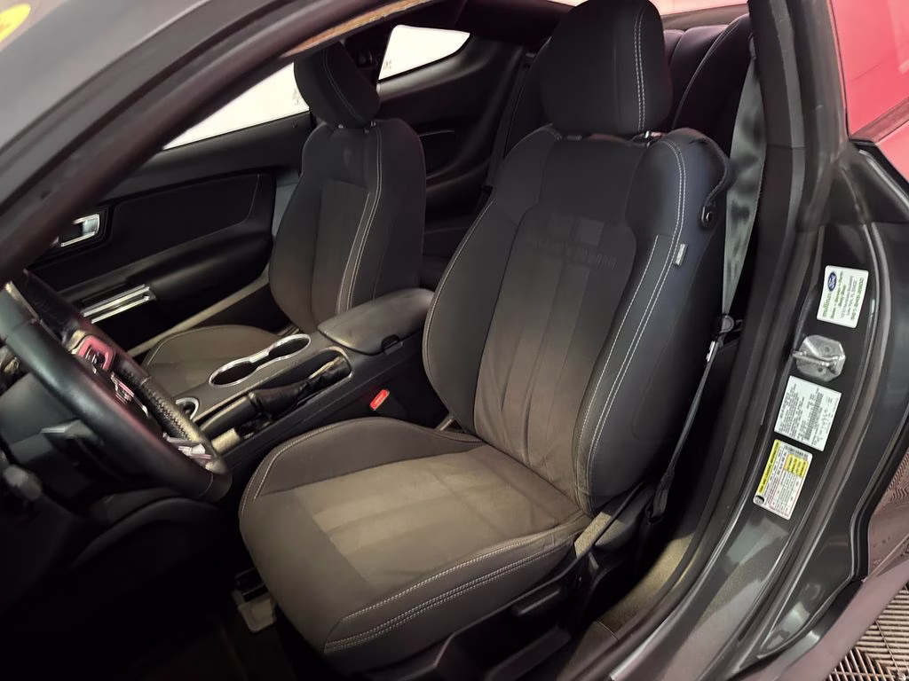 2019 Magnetic Metallic Ford Mustang EcoBoost RWD Coupe
