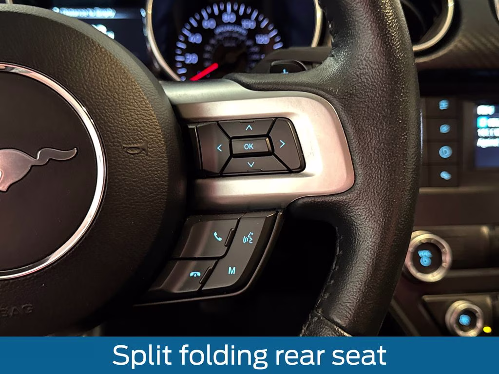 2019 Magnetic Metallic Ford Mustang EcoBoost RWD Coupe